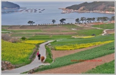 [기업인사이트] 완도청산농협, 청산호 취항...편리한 뱃길 제공