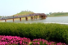 초여름 순천만정원박람회장으로 떠나는 에코여행