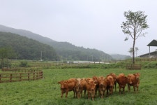 축제 속으로 떠나는 흡족한 가을 여행