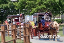 2013년 가을맞이는 부산경남경마공원이 책임진다