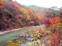 늦가을 정취 만끽 청송 주왕산-주산지 기행