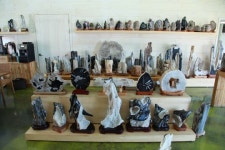 시간속으로의 여행 나무화석이야기