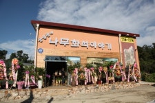 시간속으로의 여행 나무화석이야기
