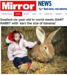 토끼보다 작은 소녀의 안타까운 사연