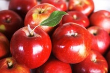 사과 칼로리, 두 개 먹으면 밥 한 공기 ‘반전이네’