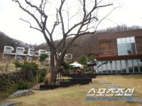 대웅제약의 이상한 경영, 술팔고 사진찍고 오디오 수입까지...