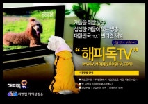 씨앤앰, 반려견 위한 해피독TV 방송
