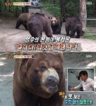 동물농장 김상중, ‘묻지마! 암컷 곰 폭행사건’ 내레이션 깜짝 등장
