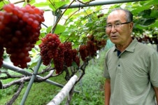 과일향기 넘치는 초가을 여행지 안성