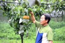 과일향기 넘치는 초가을 여행지 안성