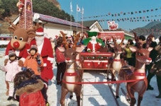 분천 산타마을로 설국여행 떠난다!
