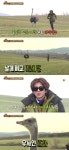애니멀즈 윤도현, 타조와 교감 성공...불혹 넘은 나이에도 초원 뜀박질 폭소