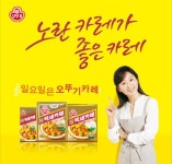 오뚜기 카레, 강황성분으로 노화방지-치매예방 웰빙 식품으로 주목