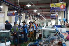 5월, 축제 속으로 떠나는 여행 보성 다향제