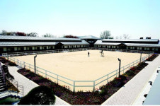 5성 대회 가능한 발리오스 승마클럽 시선집중