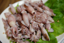 글로벌 청정 생태도시 순천으로 떠나는 힐링 여행