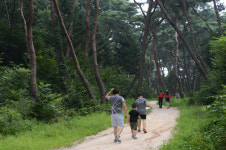Lets Go! 대한민국 세계유산 탐방 2 여주 세종대왕릉