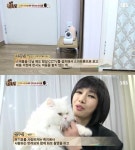 동물농장 선우선 매니저 스케줄 가도 CCTV로 고양이 지켜본다 남다른 고양이 사랑