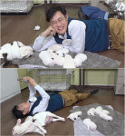 이경규의 반란, 누가 마리텔은 예능인의 단두대라 했던가