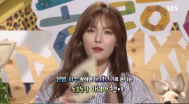 동물농장 현아 투견 방송에 분노…출연 결심해