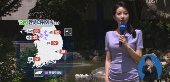 초여름 더위 지속, 낮 최고기온 29도까지 상승 예상