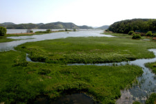 교과서에서 만나는 걷기여행길-야생화길 10선