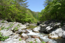 교과서에서 만나는 걷기여행길-야생화길 10선