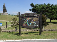 교과서에서 만나는 걷기여행길-야생화길 10선