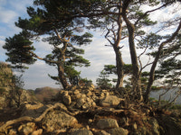 교과서에서 만나는 걷기여행길-야생화길 10선