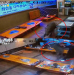 의정부 감자탕집에 멧돼지 출몰…손님들 ‘공포’