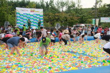 여름 휴가, 함양산삼축제로 떠난다!