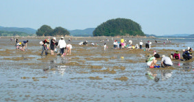 천혜의 환경 서천에서 갯벌체험글램핑 즐기세요