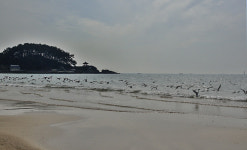 겨울 포구로 떠나는 걷기여행길 10선