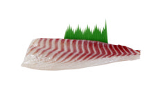 김성수 주안 대표 수산물 유통 혁명의 선두주자 굳히겠다