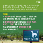 [카드뉴스] 멍멍이 천국 반려견 놀이터!