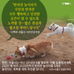[카드뉴스] 멍멍이 천국 반려견 놀이터!