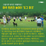 [카드뉴스] 멍멍이 천국 반려견 놀이터!