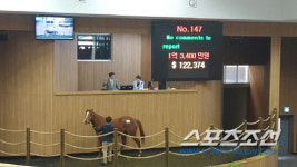 렛츠런팜 제주 경매. 최고가 2억400만원