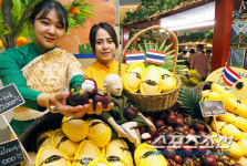 현대백화점 압구정본점, 22일까지 타이 푸드 랜드 행사