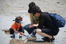 Lets go-대한민국 세계유산 잠정목록 탐방 ⑥신안 증도 갯벌