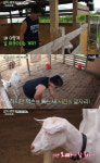 삼시세끼 이서진·잭슨, 아침부터 케미 폭발…서진바라기