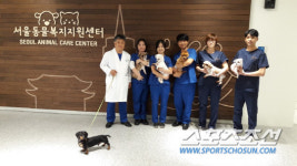 건전한 반려동물 문화 서울동물복지지원센터가 이끈다!