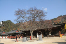 <Lets go-대한민국 세계유산 잠정목록 탐방 ⑨설악산 천연보호구역>