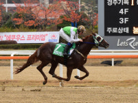 [경마]마방간 한판승부, 24일 최강팀 선발전 승자는?