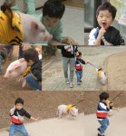 오빠만 믿어…슈돌 승재, 꿀꿀이 일일 보디가드 도전