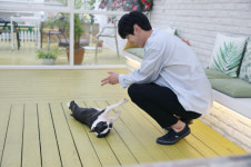 [셀럽스펫①]훈남 배우 곽시양의 훈견 상남이를 소개합니다