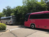 파주NFC 훈련 마감 신태용호, 일반 관광버스 타고 KTX역 이동 사연