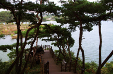 싱그러운 초여름의 정취가 배어나는 걷기여행길