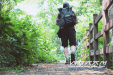 본격 휴가철, 여름의 정취 물씬 풍기는 자연속을 걷는다!