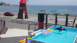 역사와 자연이 머무는 경주, 경주펜션을 찾는다면? 리얼스틸펜션